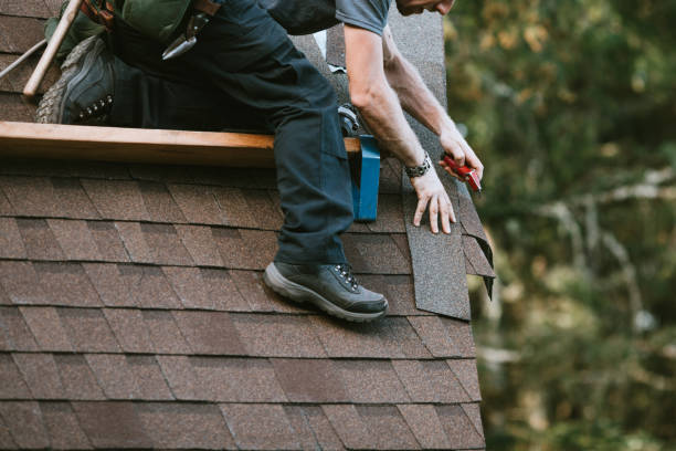 Best New Roof Installation  in Bellingham, WA